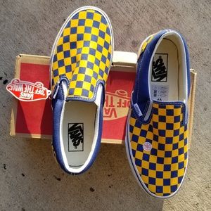 Vans Authentic Chex Skate Shoe